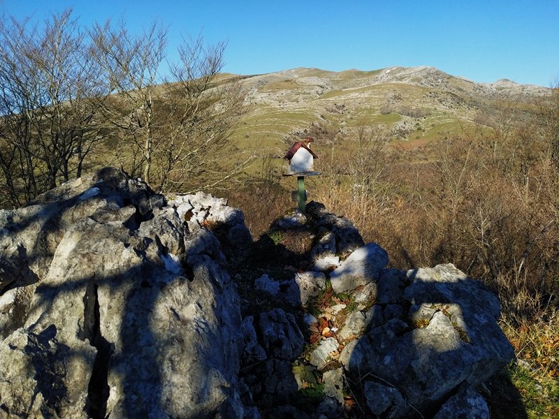 Tontorra