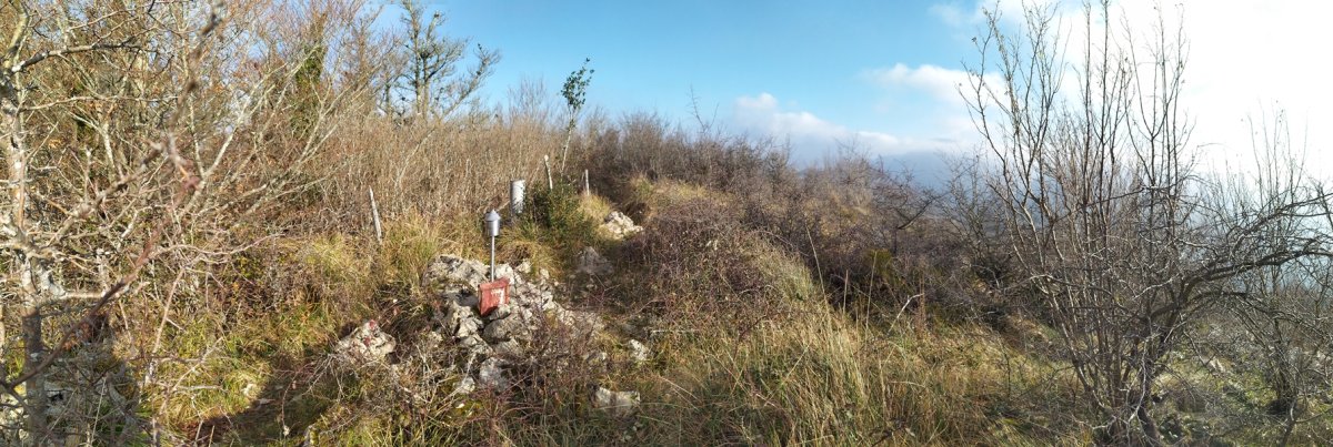 Tontorra