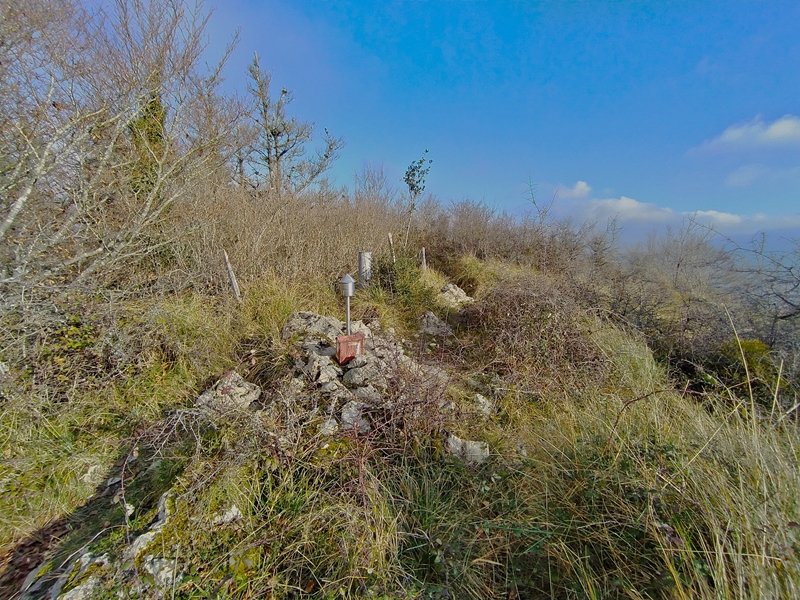 Tontorra