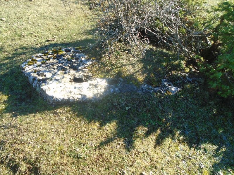 campullido zutarria