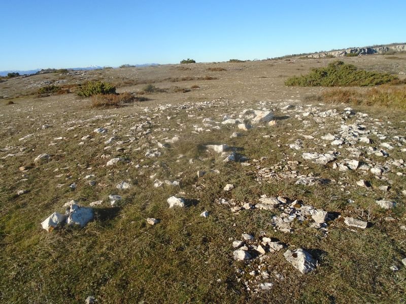 la barrera tumulua
