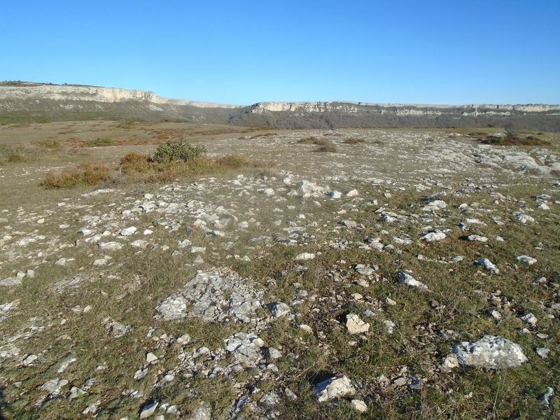 la barrera tumulua