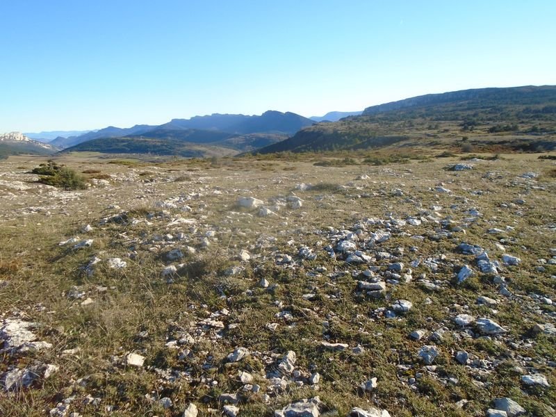 la barrera tumulua