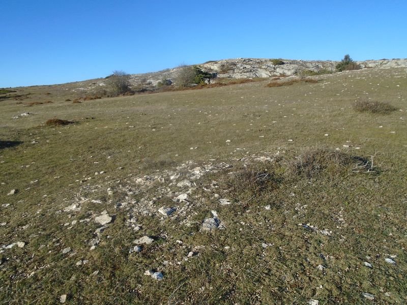 la barrera 1