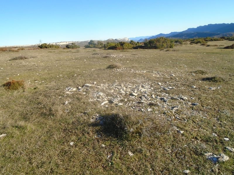 la barrera 2