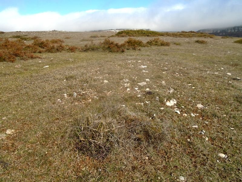 la barrera 6