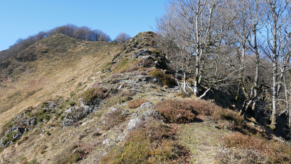 HEko bizkarra