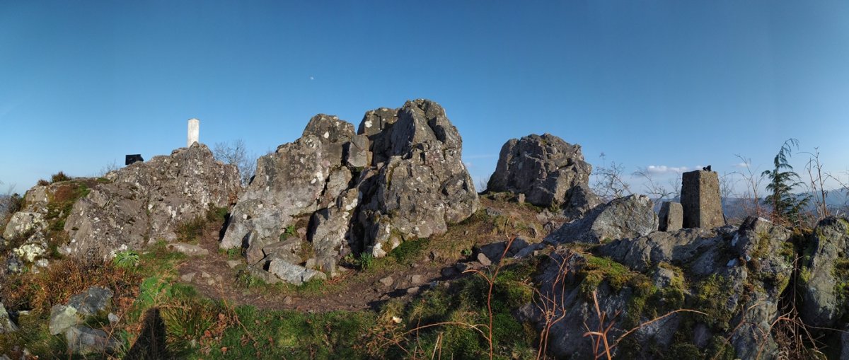 Tontorra