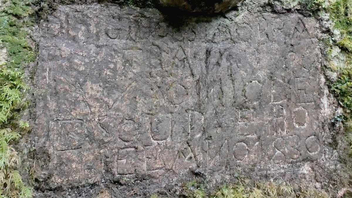 Goiko Errota, Arano