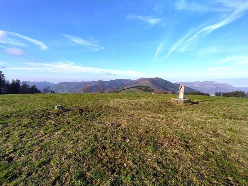 Tontorra