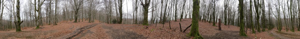 Hirumugako lepoko panoramika, Basakaitz