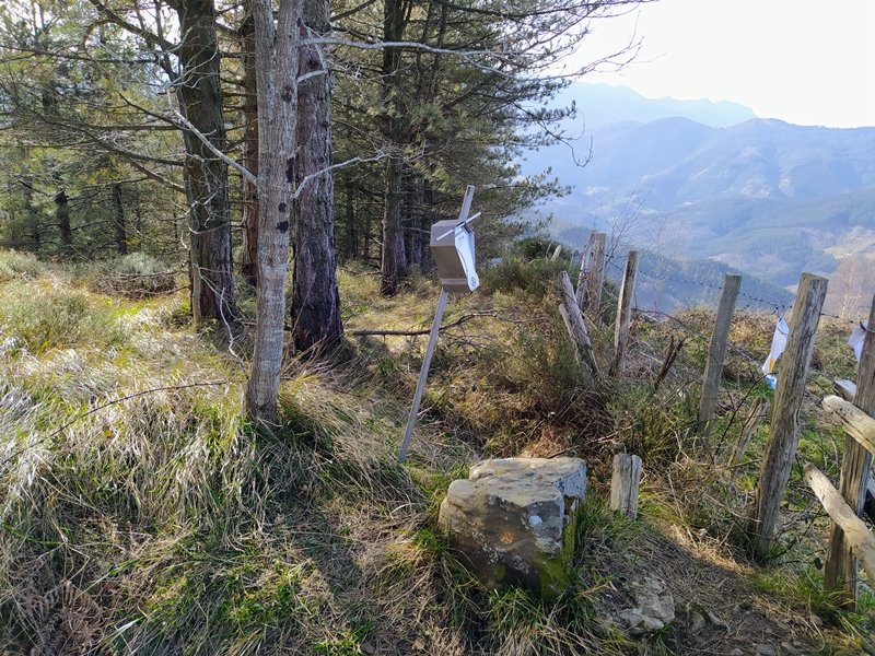 Tontorra