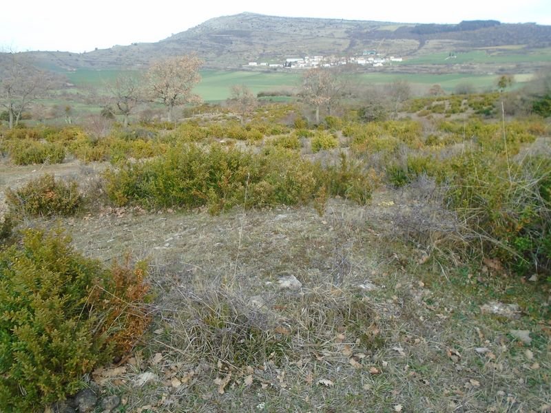 la magdalena 2