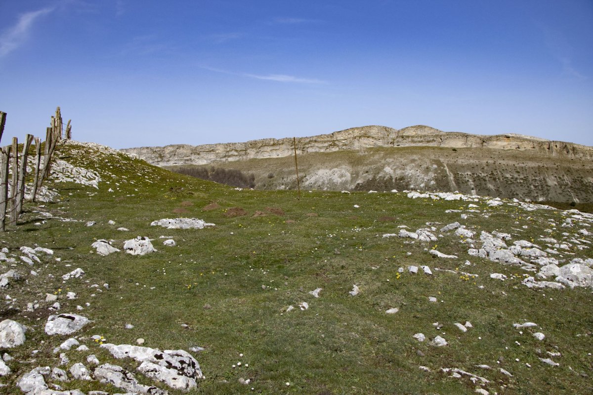 Balsarroya