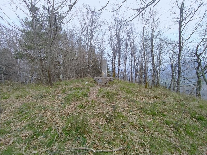 Tontorra