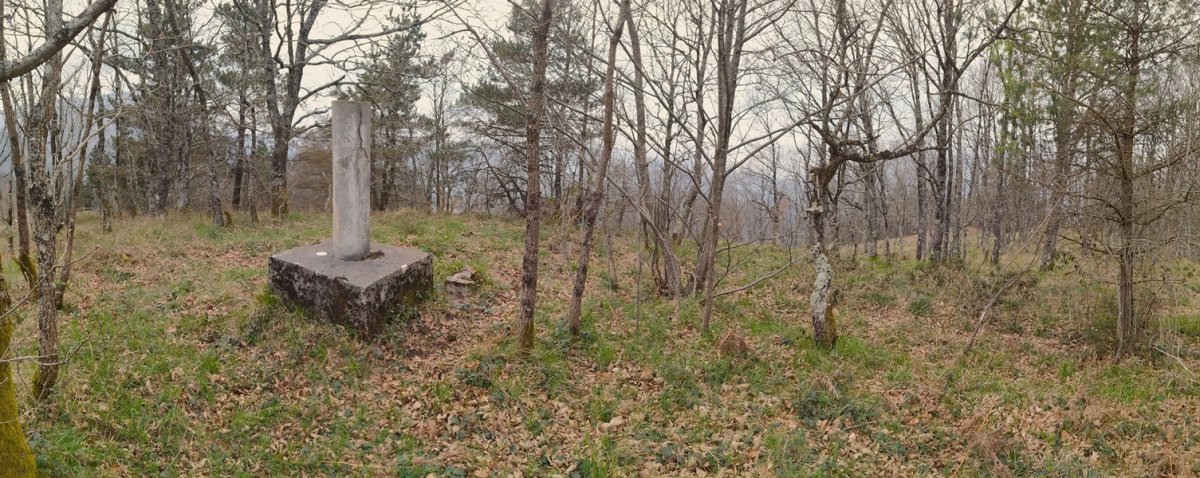 Tontorra
