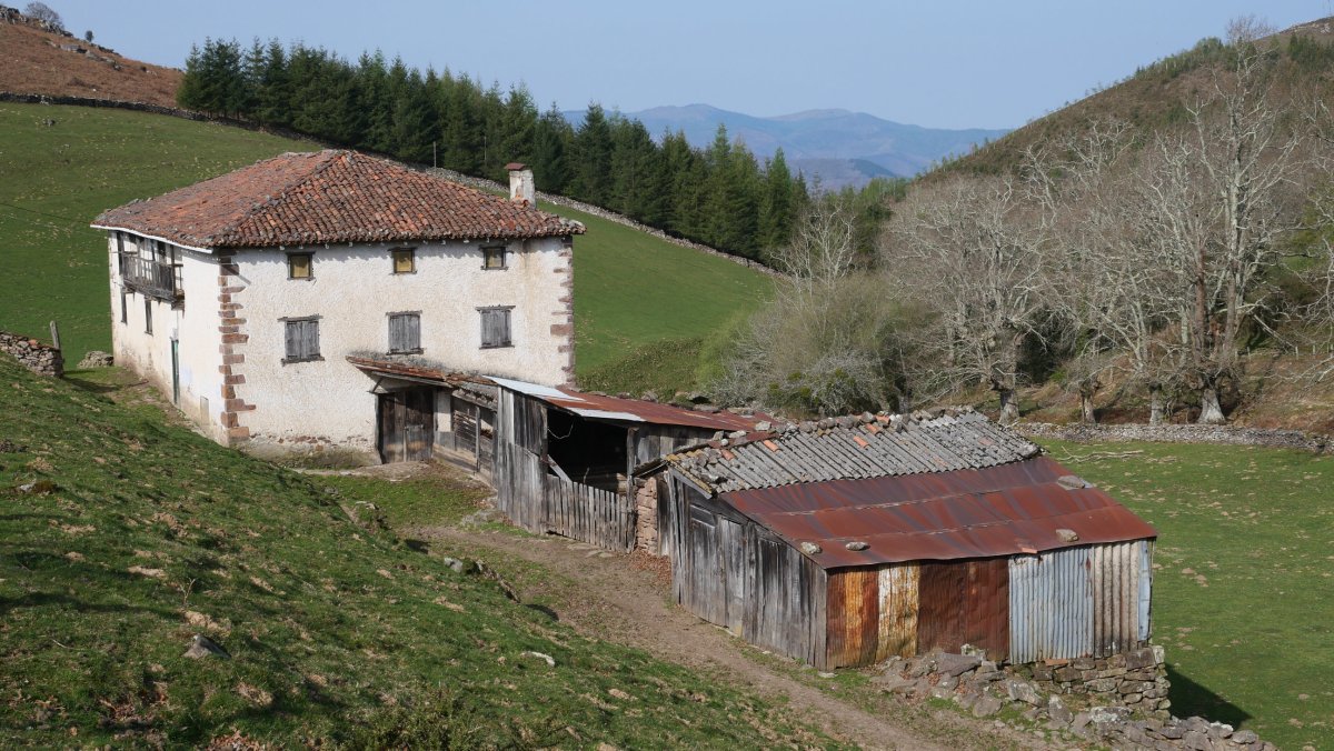 Olako borda