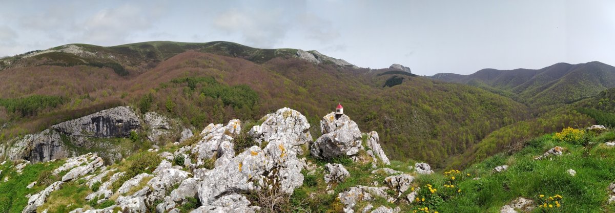 Tontorra