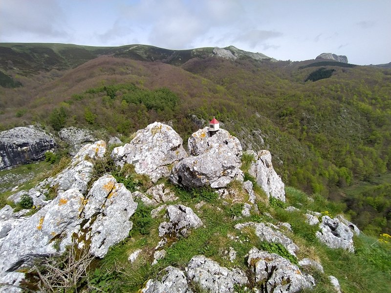 Tontorra