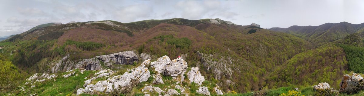 Tontorra