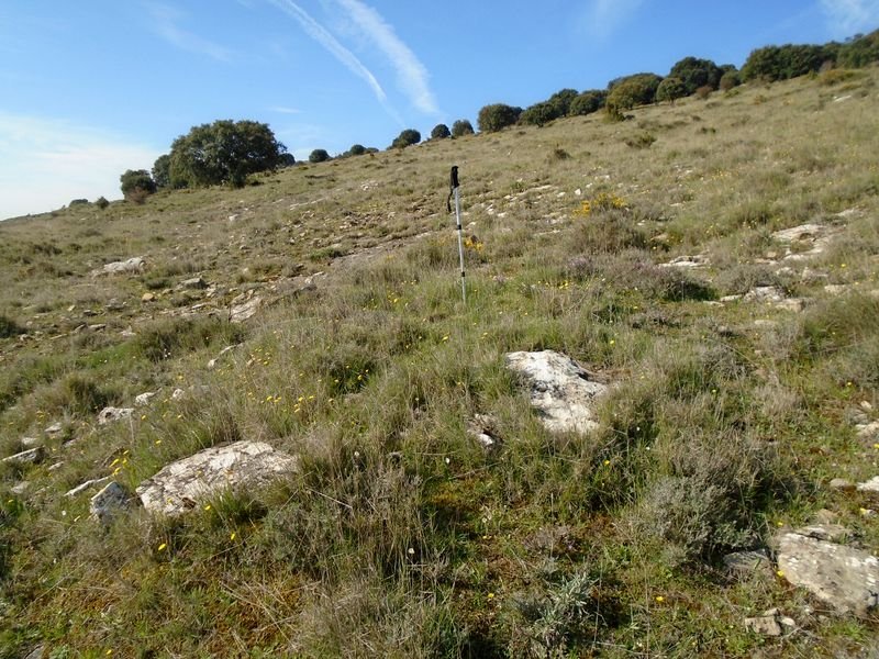 artazkoz 1