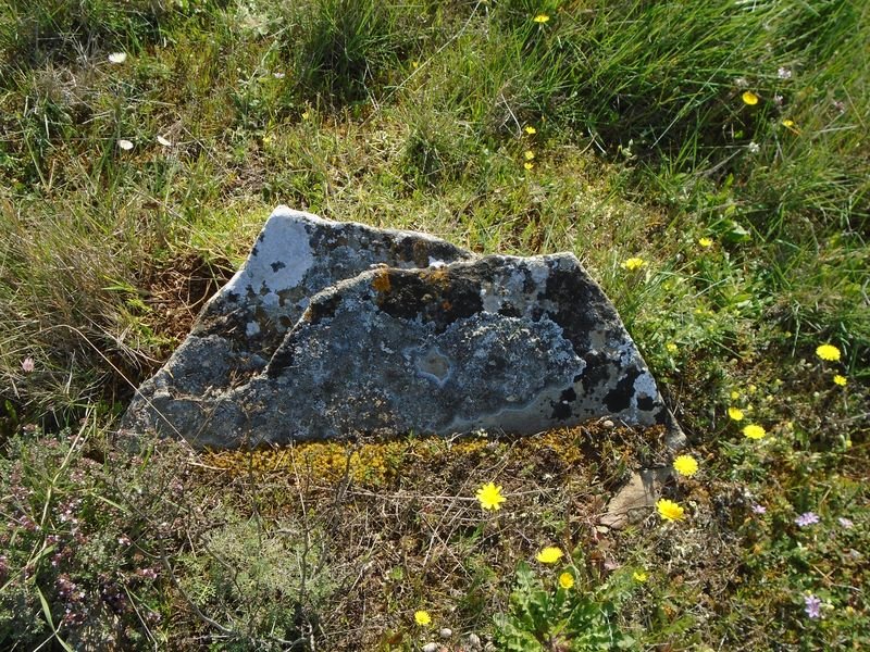 artazkoz 1