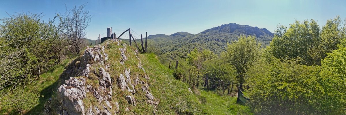 Tontorra