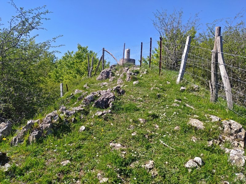 Tontorra