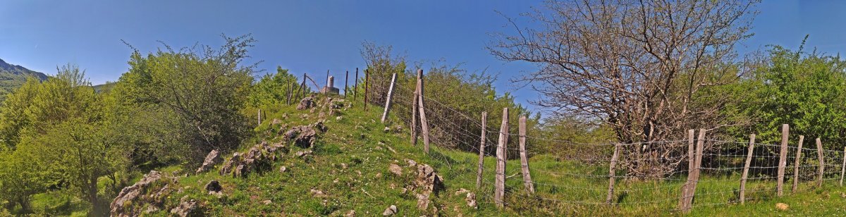 Tontorra