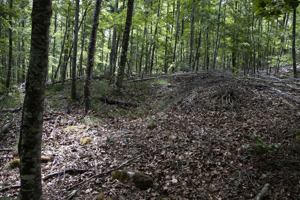 Aitzgorri