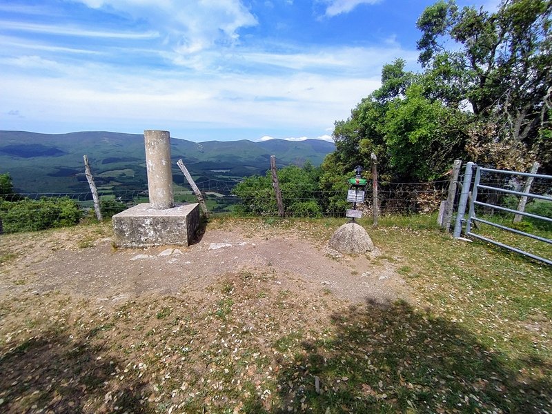 Tontorra