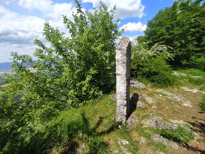 Tontorra