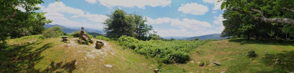 Tontorra