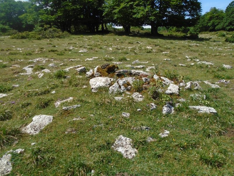 urritzaga ipar