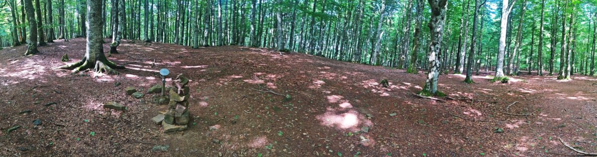 Tontorra