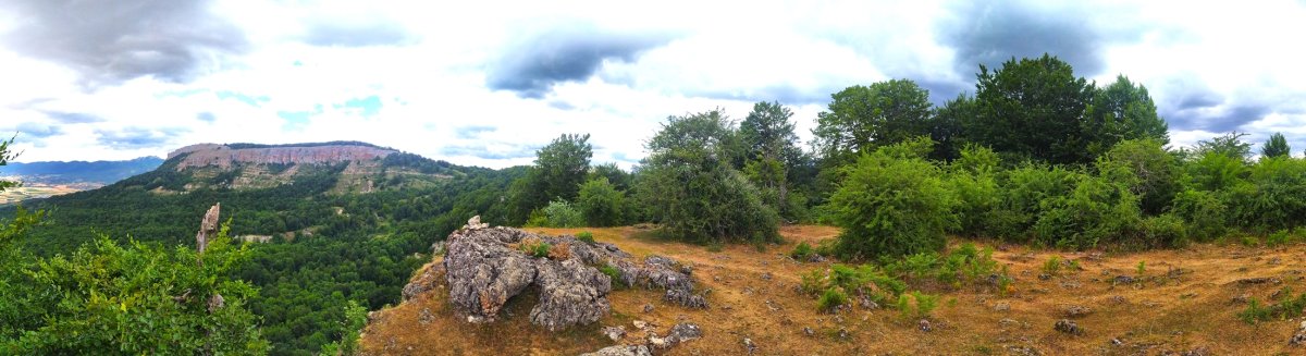 Tontorra