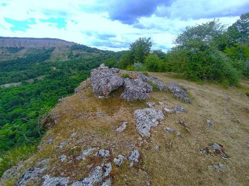 Tontorra