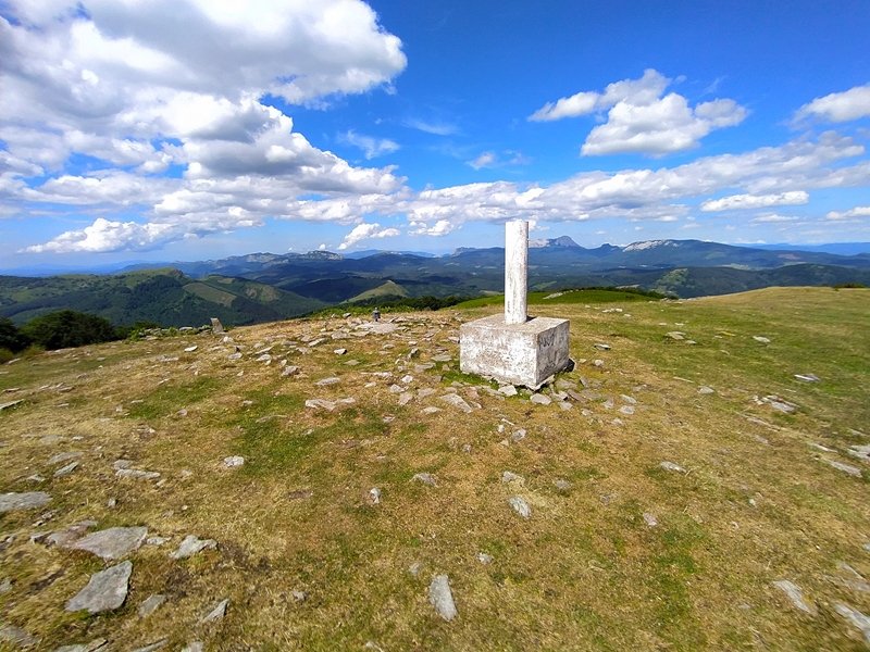 Tontorra
