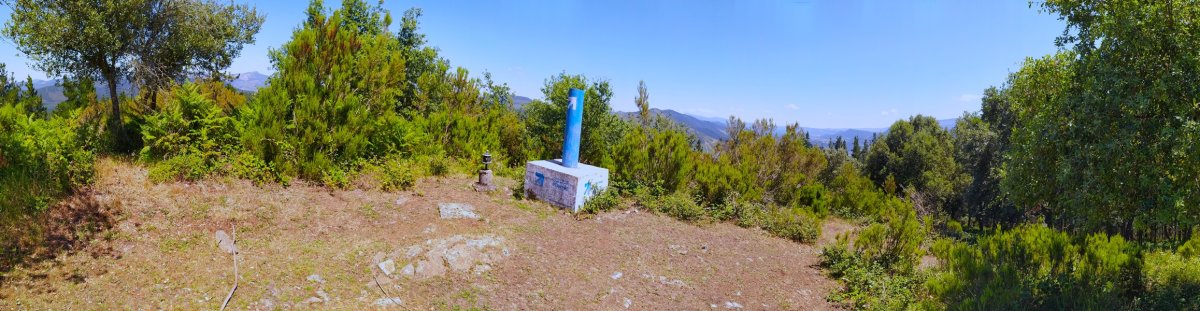 Tontorra