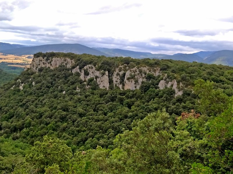 Aldosilla