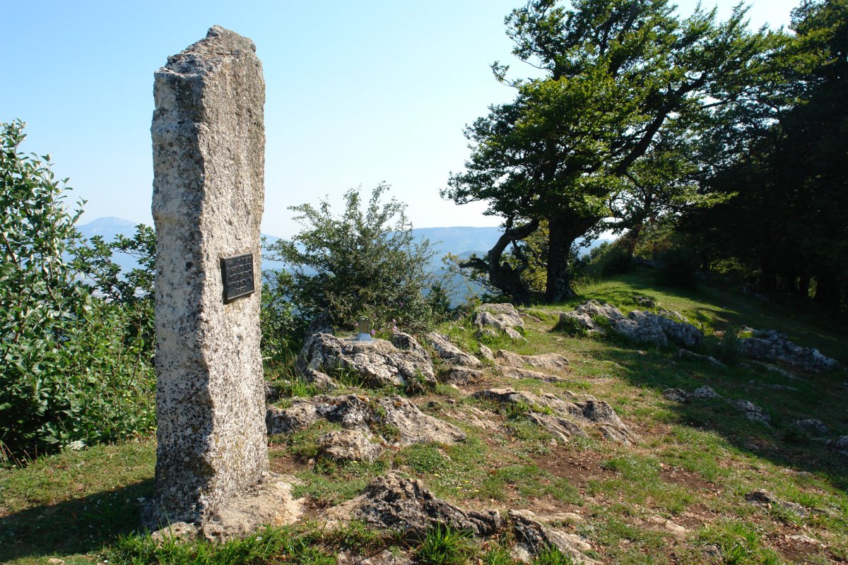 Tontorra