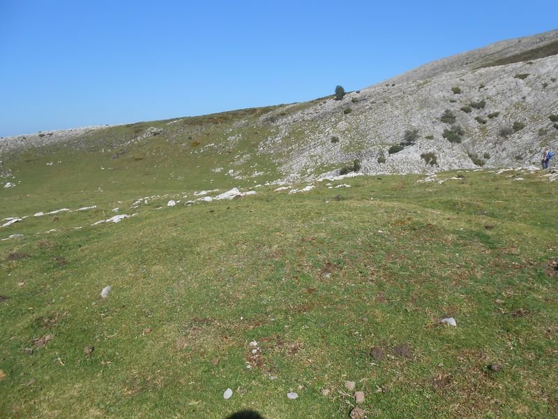 uelogoena 2