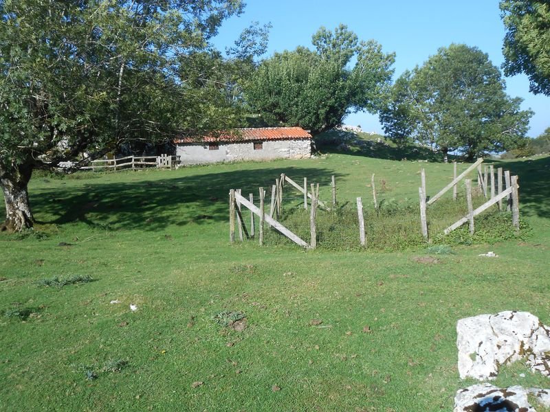 oidui