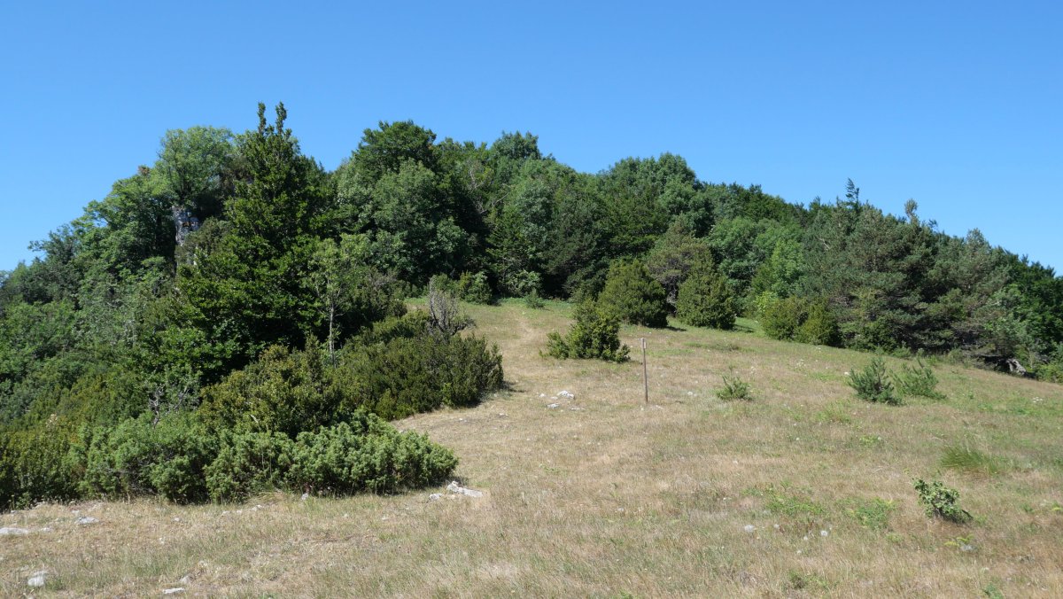 Ekialdeko bizkarreko pasarte bat