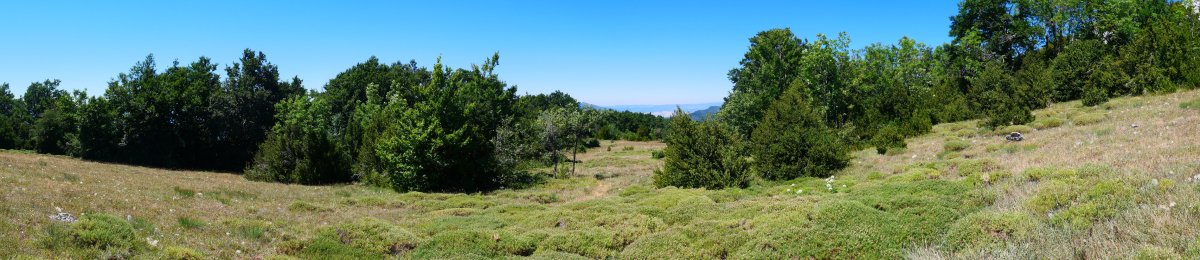 Tontorraren inguruko larre eremua, Borreguil