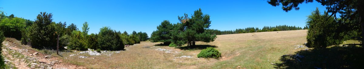 Legarozko larreak, 2022ko uztailean