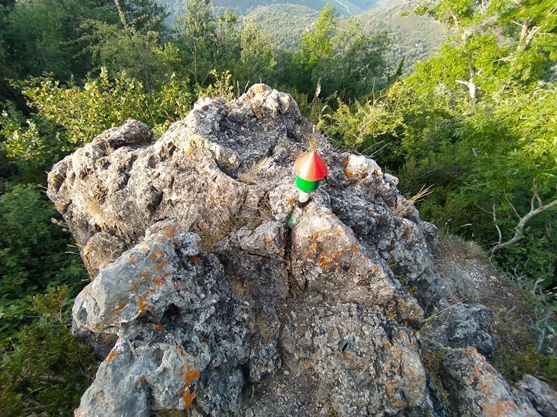 Tontorra