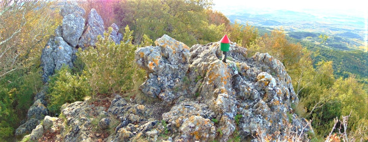 Tontorra
