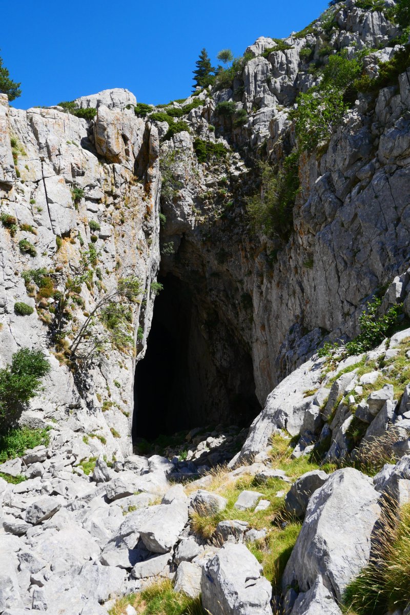 Ezkaurreko koba