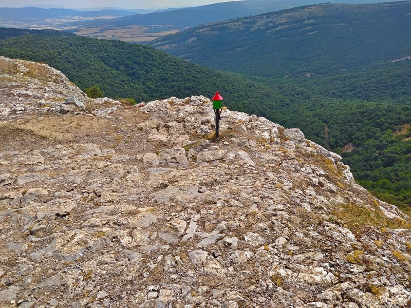 Tontorra